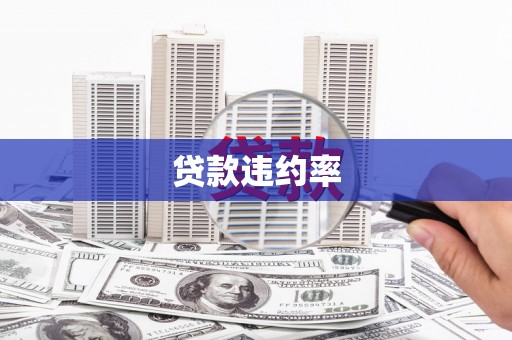 全椒贷款违约率
