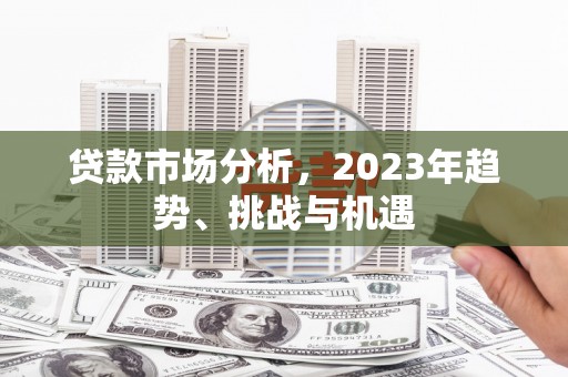 全椒贷款市场分析，2023年趋势、挑战与机遇