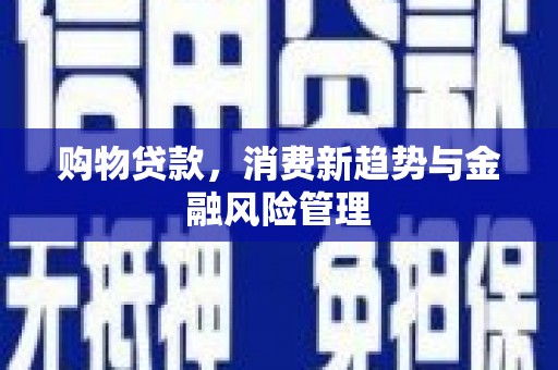 全椒购物贷款，消费新趋势与金融风险管理