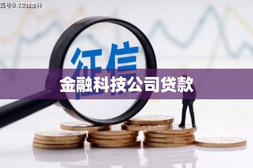 全椒金融科技公司贷款