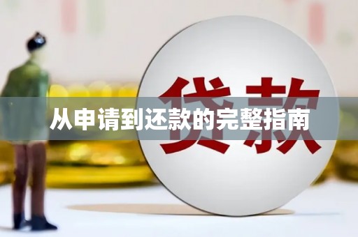 全椒从申请到还款的完整指南