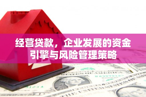 全椒经营贷款，企业发展的资金引擎与风险管理策略
