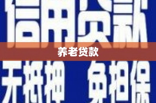 全椒养老贷款
