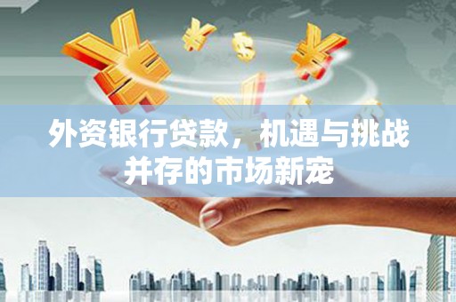 全椒外资银行贷款，机遇与挑战并存的市场新宠