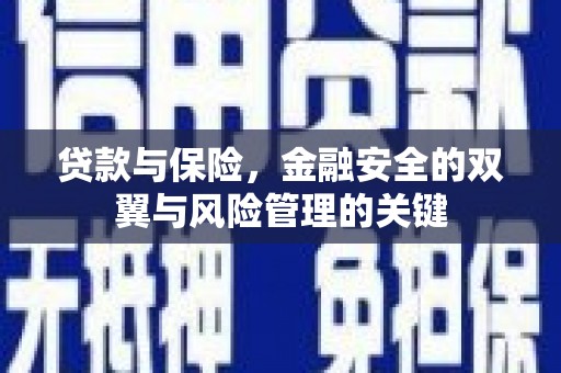 全椒贷款与保险，金融安全的双翼与风险管理的关键