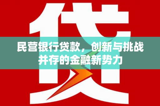 全椒民营银行贷款，创新与挑战并存的金融新势力