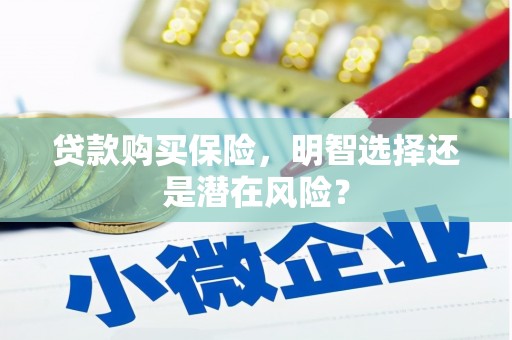 全椒贷款购买保险，明智选择还是潜在风险？
