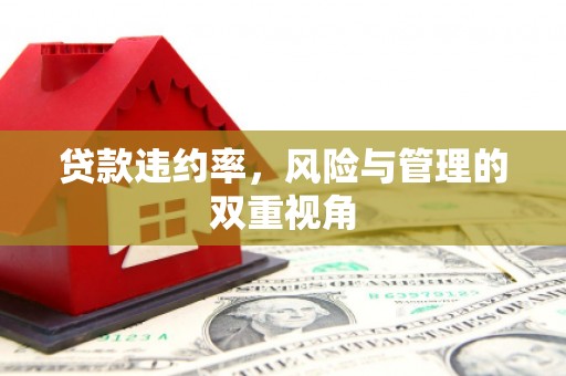 全椒贷款违约率，风险与管理的双重视角
