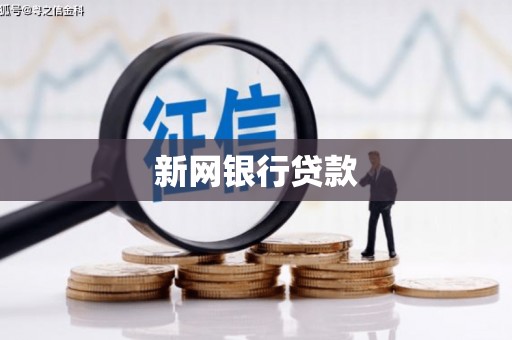 全椒新网银行贷款