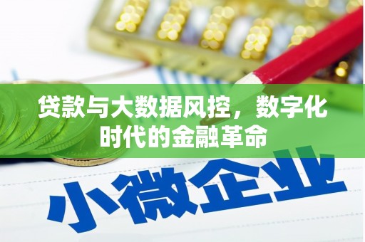 全椒贷款与大数据风控，数字化时代的金融革命