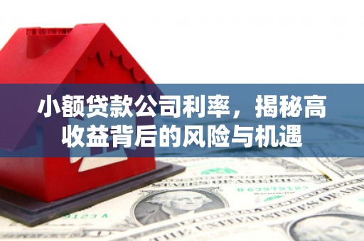 全椒小额贷款公司利率，揭秘高收益背后的风险与机遇