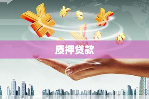 全椒质押贷款