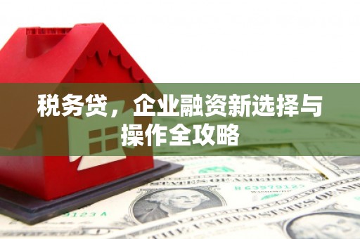 全椒税务贷，企业融资新选择与操作全攻略