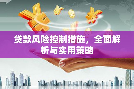 全椒贷款风险控制措施，全面解析与实用策略