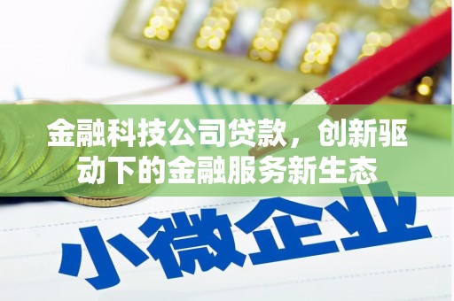全椒金融科技公司贷款，创新驱动下的金融服务新生态