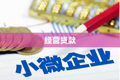 全椒经营贷款
