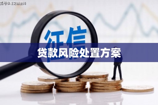 全椒贷款风险处置方案