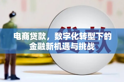 全椒电商贷款，数字化转型下的金融新机遇与挑战