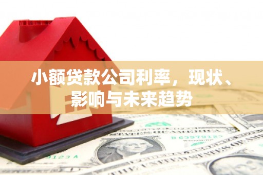 全椒小额贷款公司利率，现状、影响与未来趋势