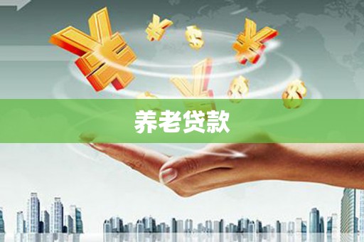 全椒养老贷款