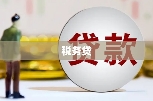 全椒税务贷