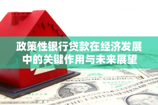 全椒政策性银行贷款在经济发展中的关键作用与未来展望