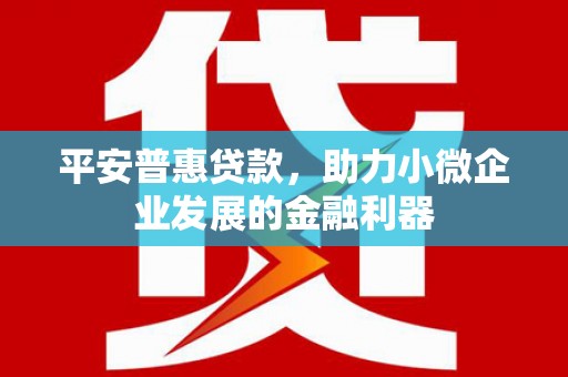 全椒平安普惠贷款，助力小微企业发展的金融利器