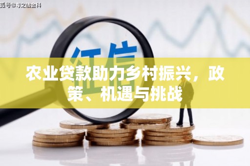 全椒农业贷款助力乡村振兴，政策、机遇与挑战