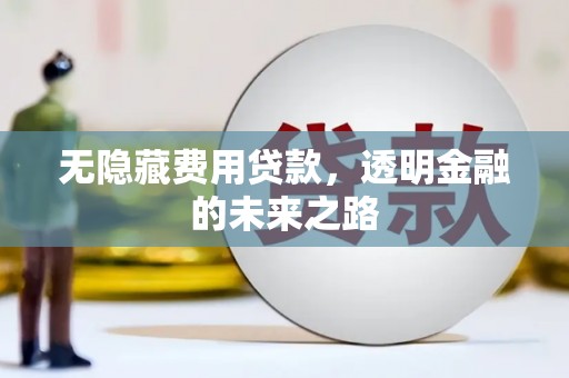 全椒无隐藏费用贷款，透明金融的未来之路