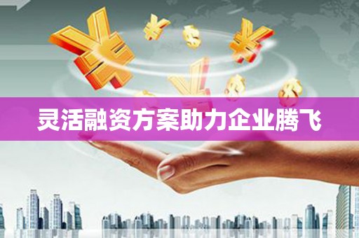 全椒灵活融资方案助力企业腾飞