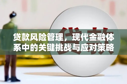全椒贷款风险管理，现代金融体系中的关键挑战与应对策略