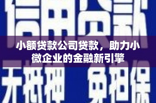 全椒小额贷款公司贷款，助力小微企业的金融新引擎