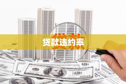 全椒贷款违约率