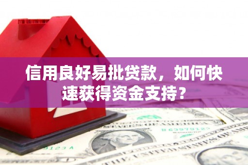 全椒信用良好易批贷款，如何快速获得资金支持？