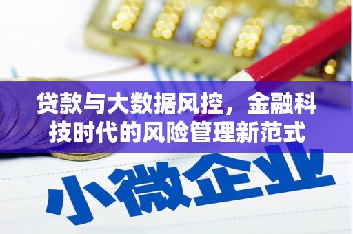 全椒贷款与大数据风控，金融科技时代的风险管理新范式
