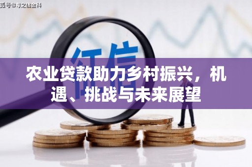 全椒农业贷款助力乡村振兴，机遇、挑战与未来展望