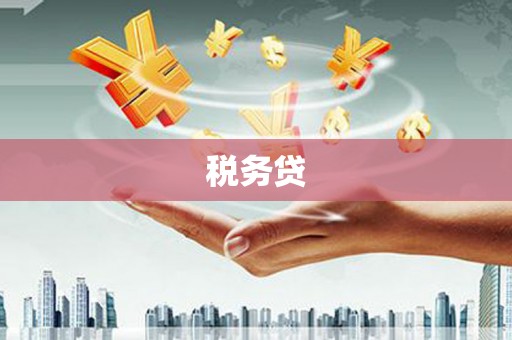全椒税务贷