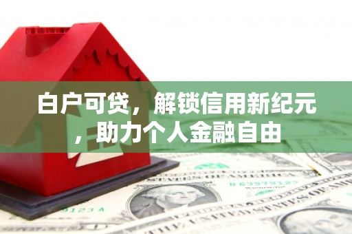 全椒白户可贷，解锁信用新纪元，助力个人金融自由