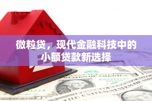 全椒微粒贷，现代金融科技中的小额贷款新选择