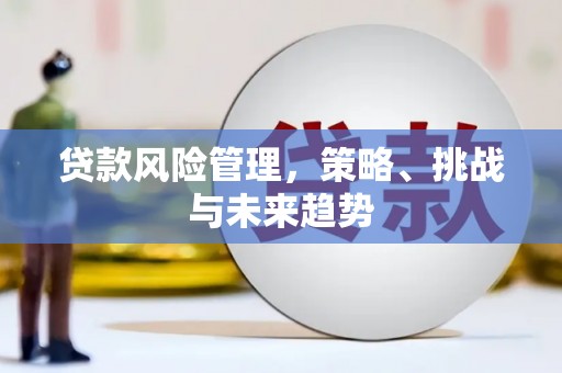 全椒贷款风险管理，策略、挑战与未来趋势