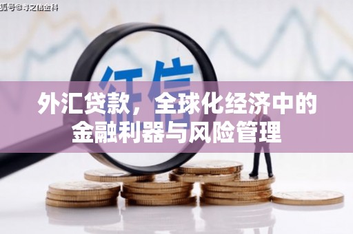 全椒外汇贷款，全球化经济中的金融利器与风险管理
