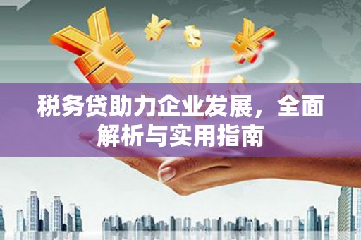 全椒税务贷助力企业发展，全面解析与实用指南