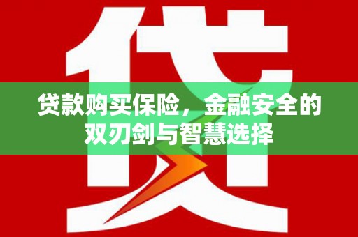 全椒贷款购买保险，金融安全的双刃剑与智慧选择