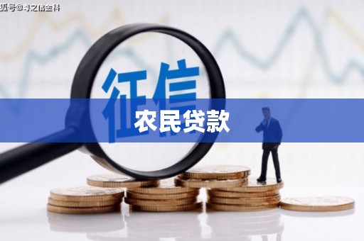 全椒农民贷款