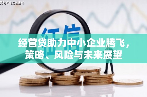 全椒经营贷助力中小企业腾飞，策略、风险与未来展望