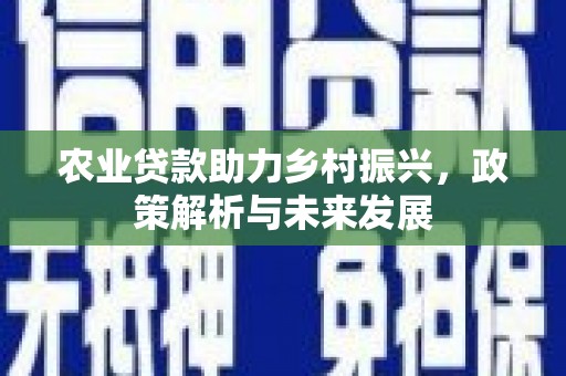 全椒农业贷款助力乡村振兴，政策解析与未来发展