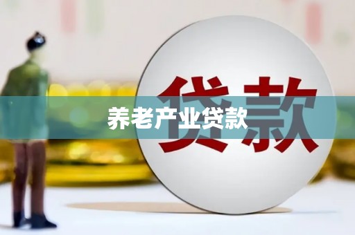 全椒养老产业贷款