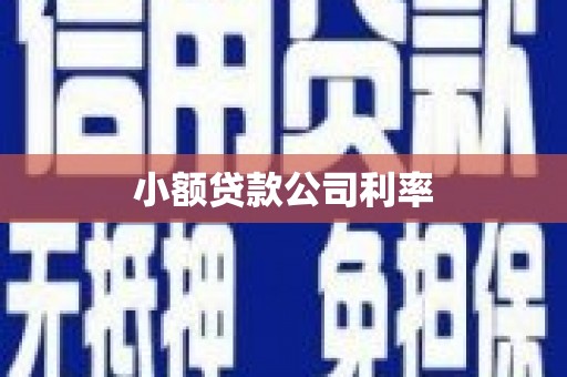 全椒小额贷款公司利率