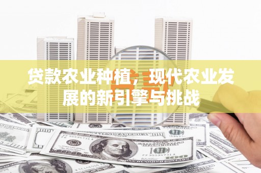 全椒贷款农业种植，现代农业发展的新引擎与挑战