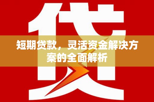 全椒短期贷款，灵活资金解决方案的全面解析
